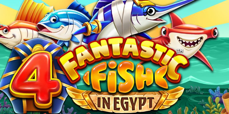 4 Fantastic Fish In Egypt