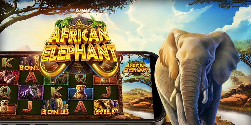 African Elephant