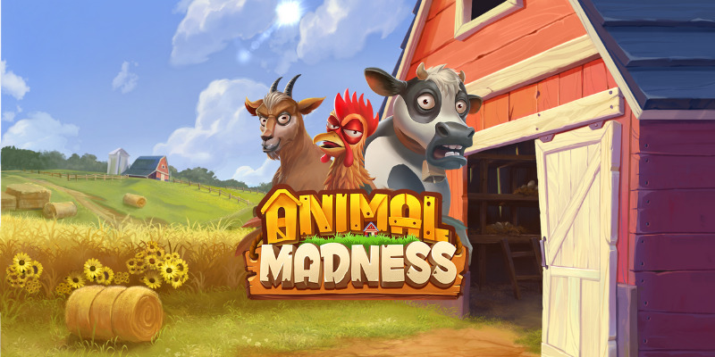 Animal Madness