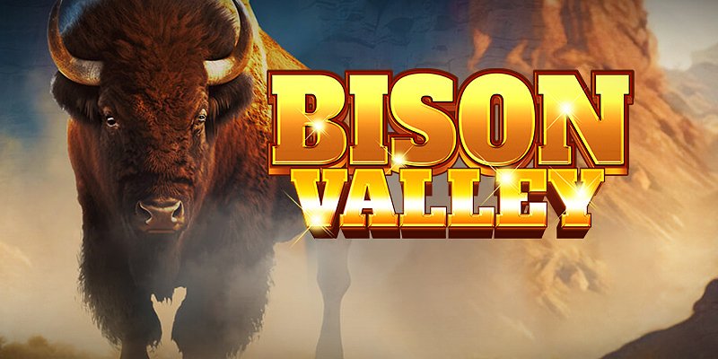Bison Valley