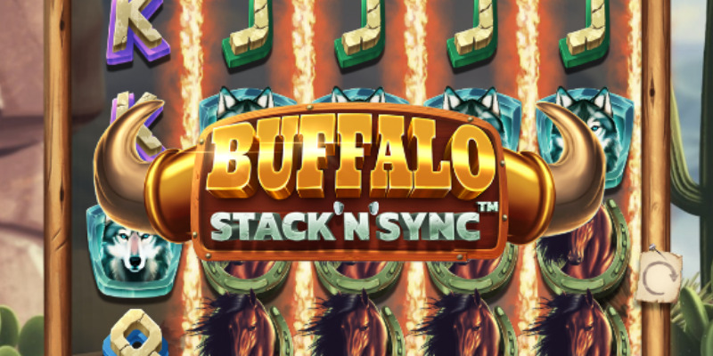 Buffalo Stack 'n' Sync