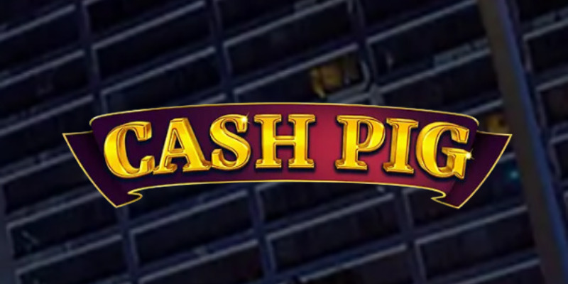 Cash Pig