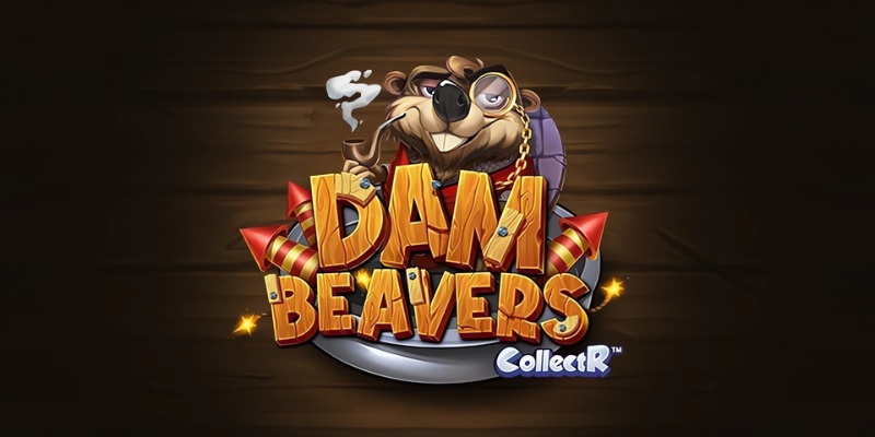 Dam Beavers
