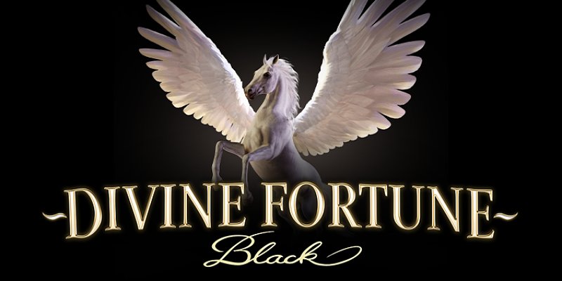 Divine Fortune Black