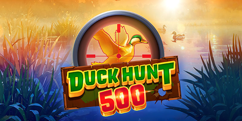 Duck Hunt 500