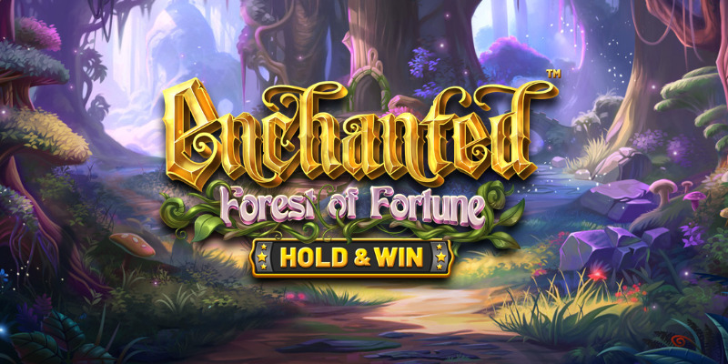Enchanted: Forest of Fortune