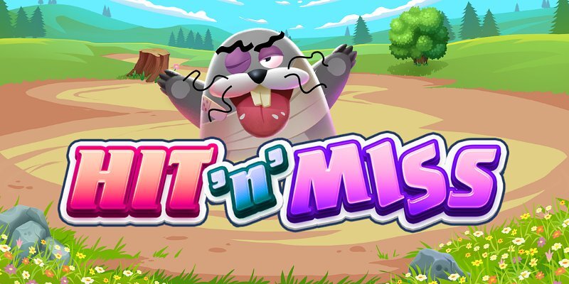 Hit ‘N’ Miss