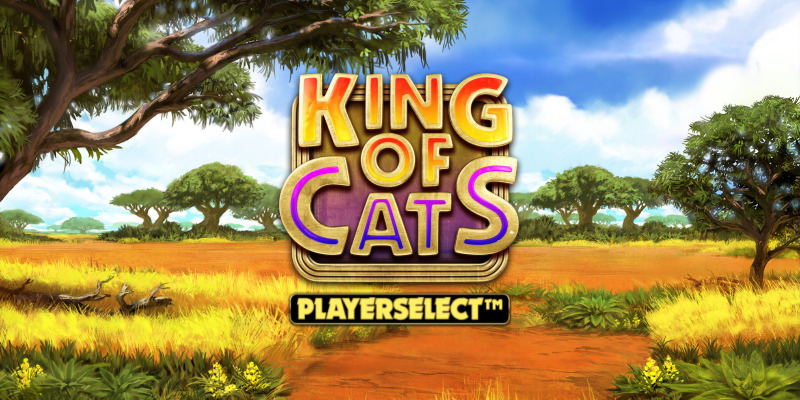 King of Cats Megaways