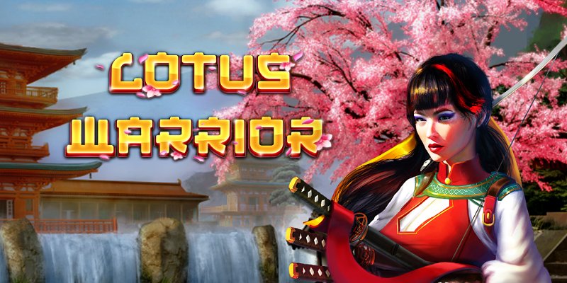 Lotus Warrior
