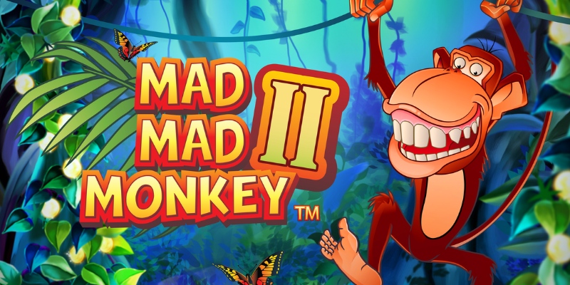 Mad Mad Monkey 2
