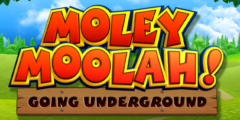 Moley Moolah!