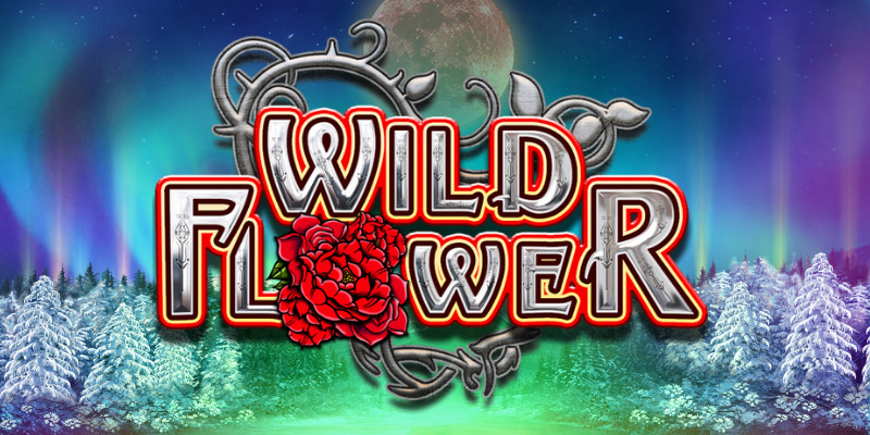 Wild Flower