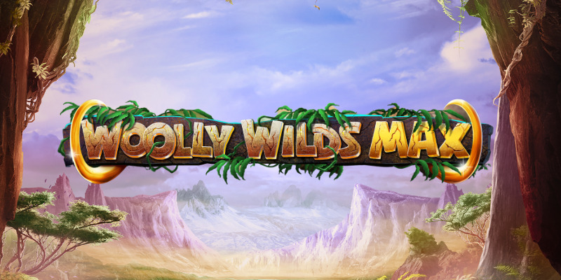 ‍Woolly Wilds MAX